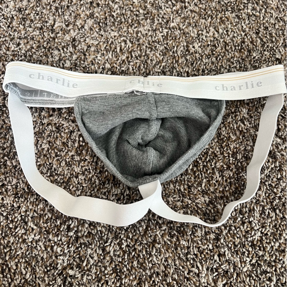Charlies Gray Men's Briefs - Picture 3 of 3